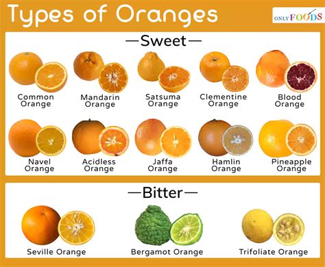 list all types of oranges.